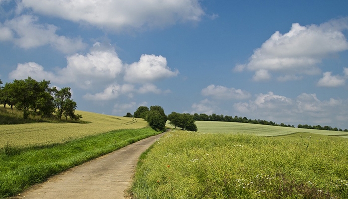 Faut-il faire borner un terrain avant de le vendre ?